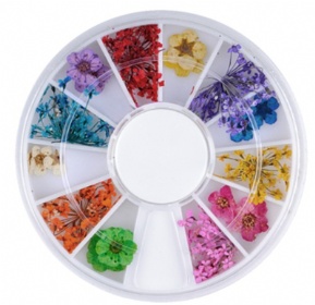 008 12kinds of dry flower in wheel
